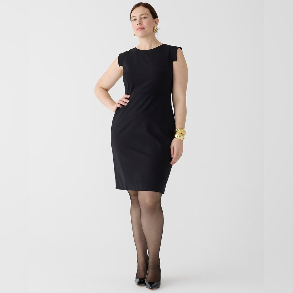 J. Crew Resume dress
